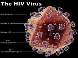 Mỹ xác nhận một loại protein có thể ức chế HIV