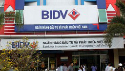 Dư nợ Vinashin tại BIDV hiện là 6.600 tỷ đồng
