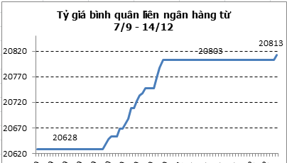 Tỷ giá bình quân liên ngân hàng lập đỉnh mới 20.813 đồng/USD