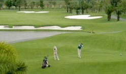 Giá điện, sân golf, tắc đường... lên bàn nghị sự